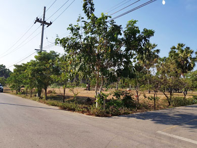 ที่ดินสวยใกล้หาดชะอำเหมาะสร้างคอนโด ที่ดินชายทะเลชะอำ  เหมาะสร้างโรงแรม-รีสอร์ท โครงการพูลวิลล่า