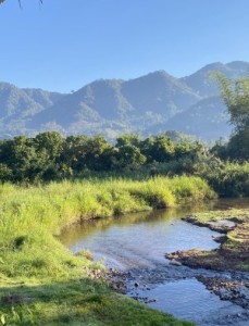 ที่พักบ่อเกลือวิวสวย-น่าน รีสอร์ทสัมผัสธรรมชาติกลางหุบเขา-บ่อเกลือ Resort Nan-Bo kluea nature in the heart of the mountains สัตว์เลี้ยงเข้าได้ รีสอร์ทที่พักบ่อเกลือ ติดลำธาร วิวสวย ที่พักสะปันติดลำธาร