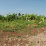 ขายที่ดินเปล่า 286 ตร.ว. เหมาะลงทุนหรืออยู่อาศัยกระทุ่มแบน สมุทรส