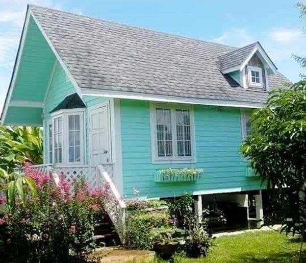 ขายบ้านสวนไทรน้อย 75 ตรว. 2.35 ลบ (ลดจาก 2.65 ลบ) พร้อมไม้ดอก ผลไม้ อยู่ซอยแสนสบาย ไทรน้อย นนทบุรี โทร 085-261-9111