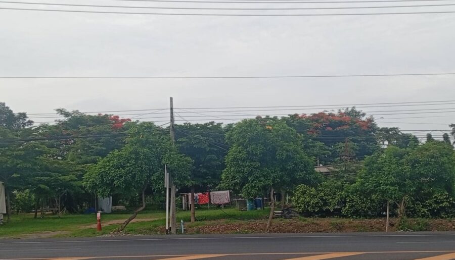 ขายด่วน! ที่ดินสวนเกษตรผสมผสานสไตล์รีสอร์ท อ.พัฒนานิคม จ.ลพบุรี พร้อมบ้านและสิ่งปลูกสร้างครบครัน โทร 063-3832910