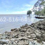 เป็นเจ้าของที่ดินติดทะเล 5 ไร่ ได้ในราคาไม่แพง แปลงสุดท้าย สมุทรส