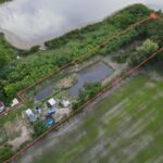 ขายที่ดิน 3 ไร่ ใกล้ M81 ไทรน้อย นนทบุรี