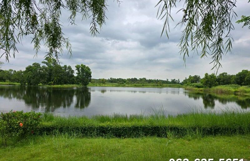 ขายที่ดินติดริมเลคสุดสวย ต.บ้านพร้าว อ.บ้านนา จ.นครนายก