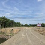 SF118 ขายที่ดิน อ.บางคล้า จ.ฉะเชิงเทรา ด่วนต่ำกว่าราคาประเมิน