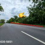 ด่วน ขายต่ำกว่าประเมินกรมที่ดิน ที่สวย ต.บ้านใหญ่ อ.เมืองนครนายก