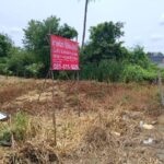 ขายที่ดิน แปลงสวย เนื้อที่ 2 ไร่ สามพราน นครปฐม