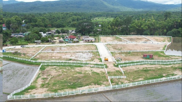 ประกาศขายที่ดินเปล่า 285 ตารางวา แม่ริม เชียงใหม่