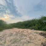 ขายที่ดิน 10-0-90 ไร่ ถนนคลองเทียน ชะอำ เพชรบุรี