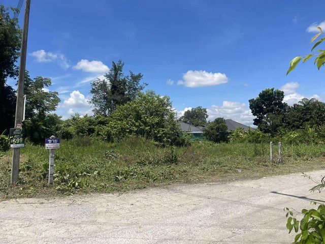 ขายที่ดินดอยสะเก็ดสำราษราษฎร์ราคาถูก