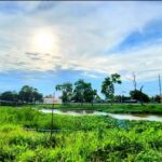 ขายที่ดินติดน้ำติดคลองรังสิต-นครนายก คลอง14