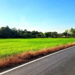 ขายที่ดิน2ไร่ ใกล้มหาวิทยาลัยศรีนครินทรวิโรฒองครักษ์ คลอง16 องคร