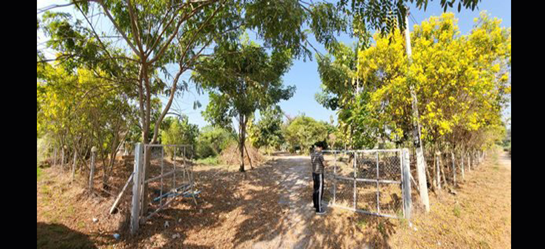 ขาย บ้าน สวนราคาถูกเจ้าของขายเองราชบุรี เหมาะทำสวนเกษตรผสม-โคกหนองนาแบ่ง เหมาะทำรีสอร์ตโฮมสเตย์ บ้านสวนโพธารามท่ามกลางธรรมชาติ แบ่งแปลงจัดสรร