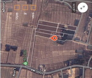 ที่ดิน ขาย ขายที่ดินอำเภอเมืองลำพูนราคาถูก ตำบลป่าสัก ใกล้แหล่งชุมชน-ตลาด-ห้าง-โรงพยาบาล เจ้าของขายเอง ติดถนนบ้านบูชา-ป่าสัก
