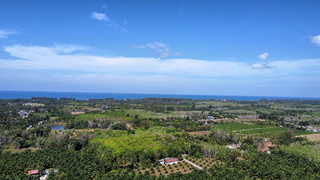 ที่ดิน ขาย ที่ดินเปล่าโคกกลอยโฉนดพร้อมโอน ใกล้สนามบินภูเก็ตใกล้ทะเล ขายที่ดินใกล้หาดนาใต้ไม่เกินล้าน เหมาะทำบ้านพักตากอากาศ ซื้อที่ดินโคกกลอยเจ้าของขายเอง