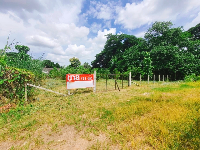 ที่ดิน ขาย ใกล้ทั้งเมืองสนามบินและศูนย์การค้า เหมาะสร้างบ้านเช่าทำออฟฟิศ ยินดีรับนายหน้า บ้านป่าพร้าวนอกซอย6วงแหวนรอบ1 เหมาะสร้างบ้านอพาร์ตเมนต์หอพัก